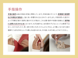 はじめてのペーパープレイブック