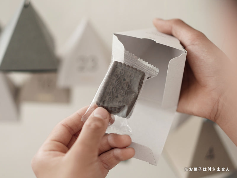アドベントカレンダー  テトラボックスキット