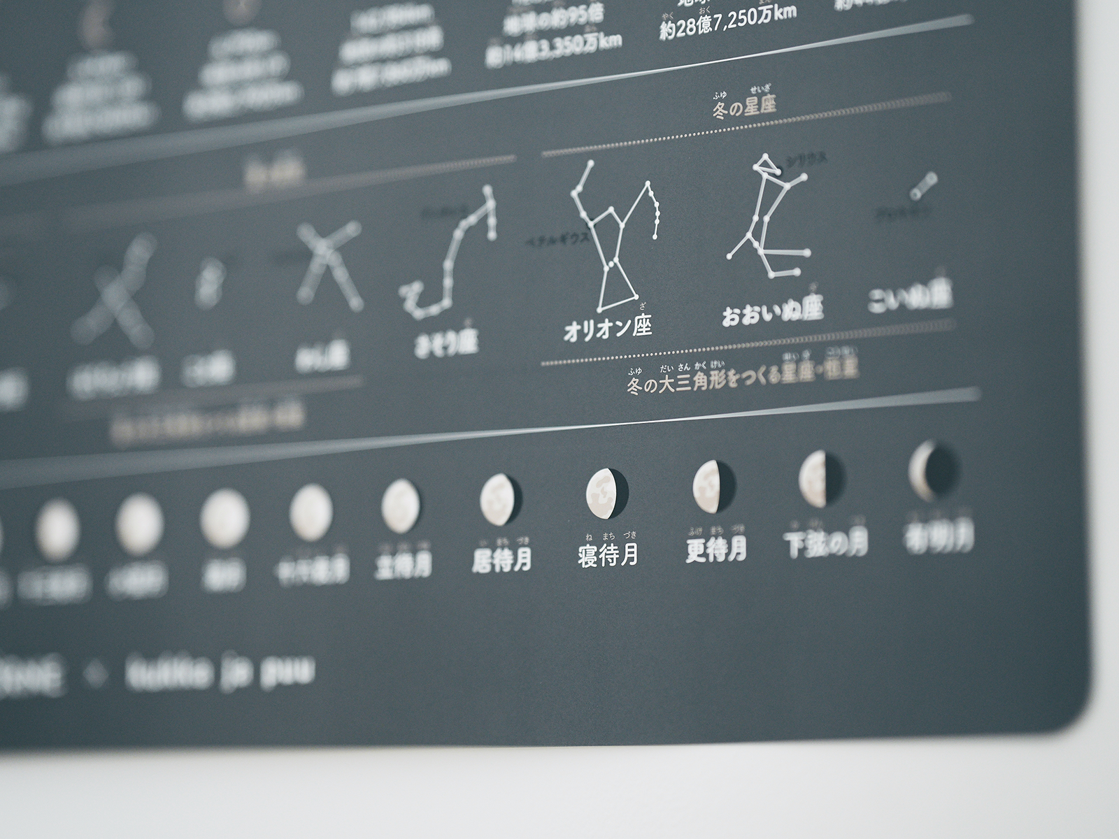 惑星ポスター お風呂の壁に水だけで貼れる 理系学習 インテリアに