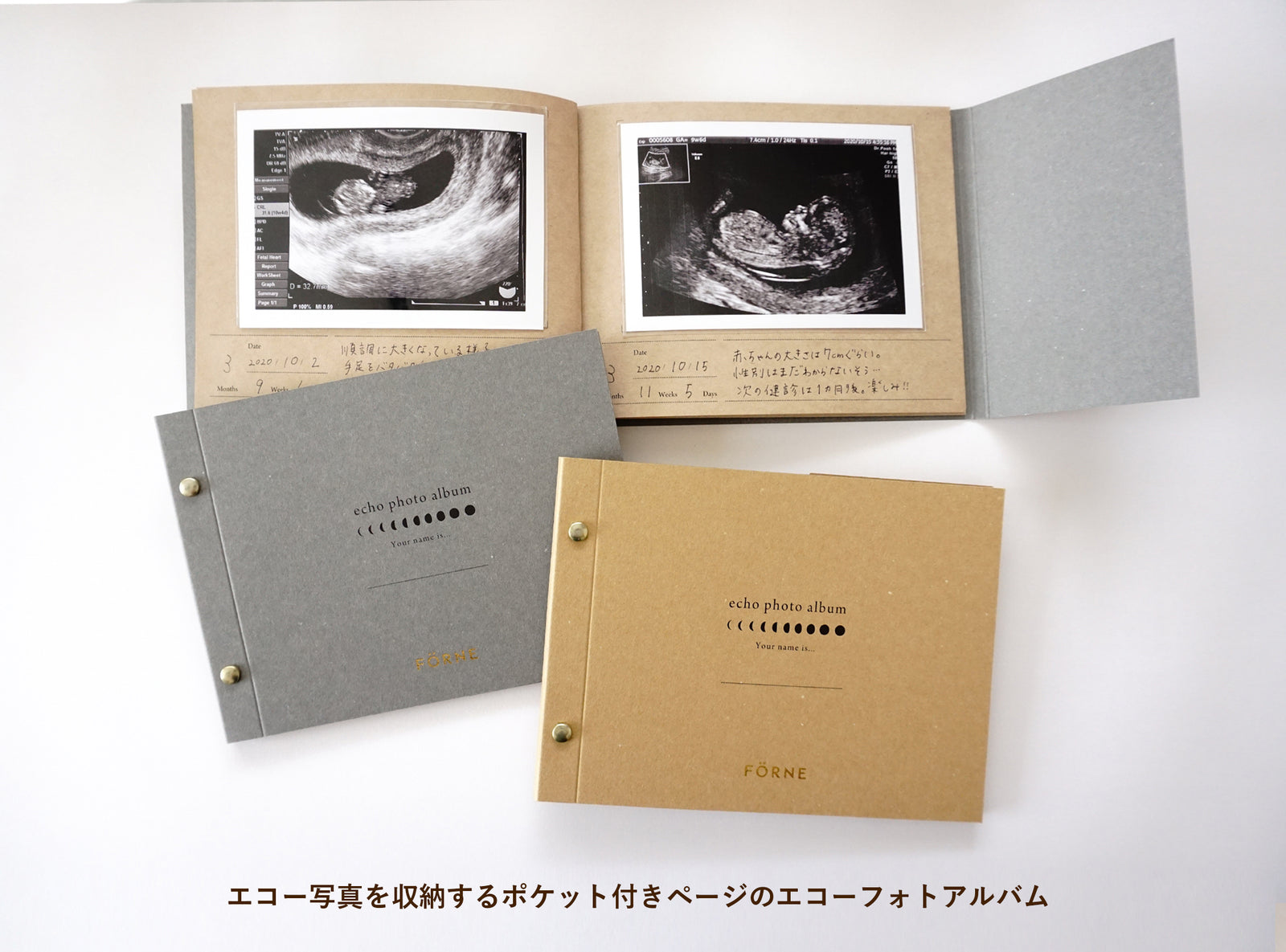 活動歴および当時の関連ビジュアル記録